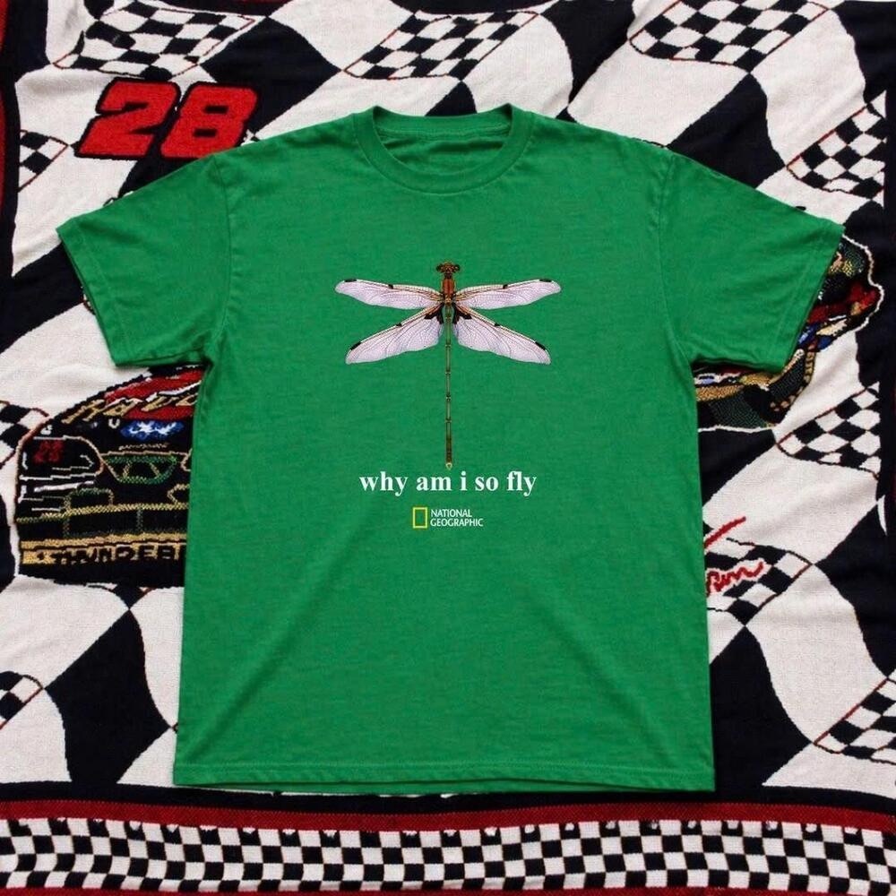 Gildan Green "Why Am I So Fly" Dragonfly Graphic Tee